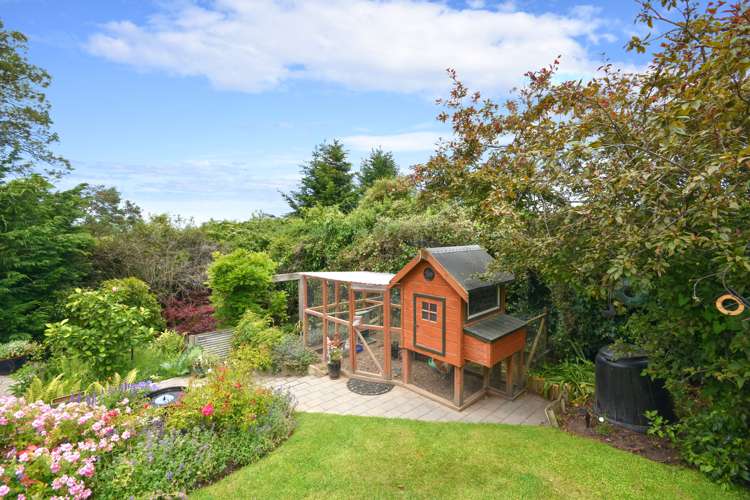 192 Pine Hill Road Dalmore_22