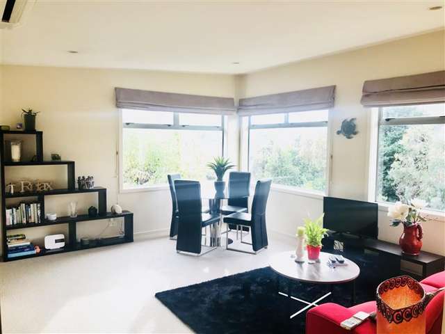 38 Torlesse Street 10799_3