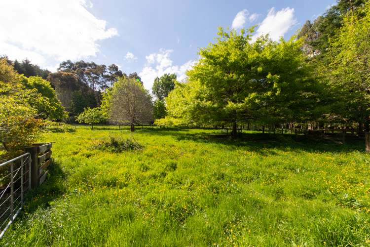 1223 Pohangina Road Pohangina_4