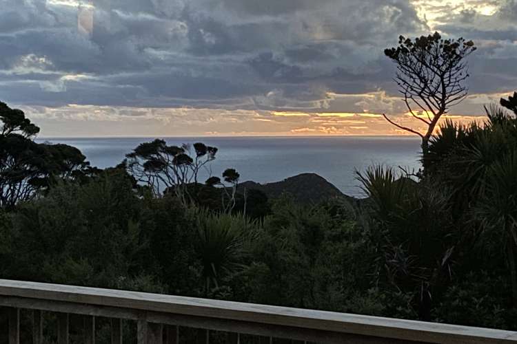 203 Piha Road Piha_40