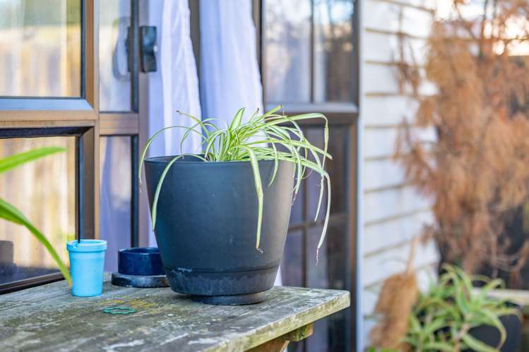 28 Primrose Street Frankton_19