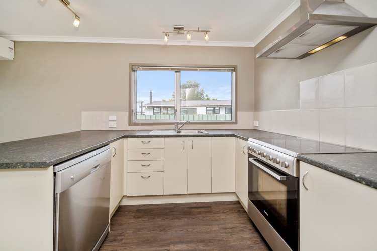 3 Titoki Place Inglewood_12