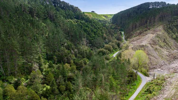Lot 6 Tangahoe Valley Road Ohangai_6