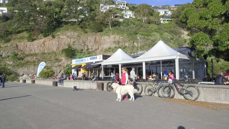 18a Nayland Street Sumner_11