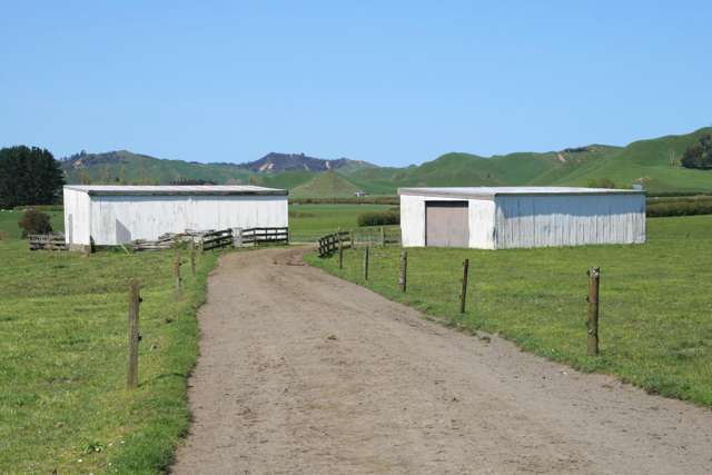 734 Bird Road Pukengahu_4