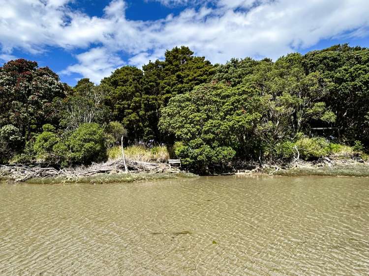 56 Totara Avenue Collingwood_9