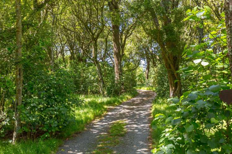 180 Underhill Road Greytown_40