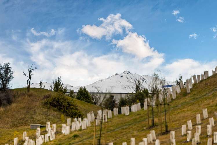 106 Risinghurst Terrace Lower Shotover_18