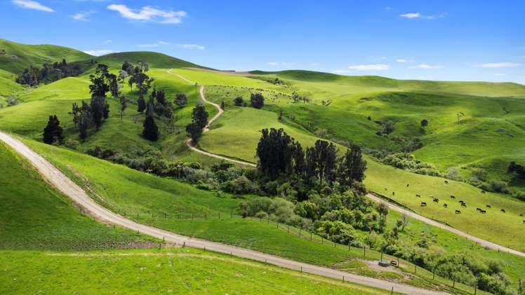 258 Paratu West Road Richmond Downs_22