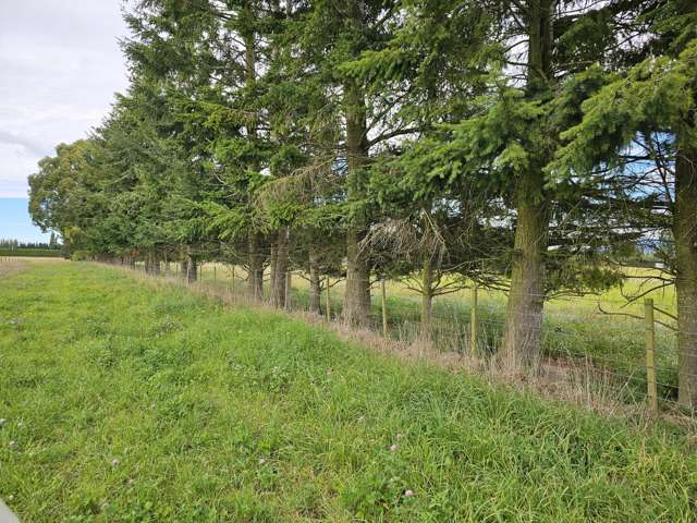 2799 Tram Road West Eyreton_4