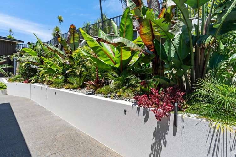 50 Dolphin Place Tutukaka_12