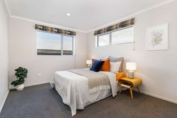 11B Percy Street Blenheim_13