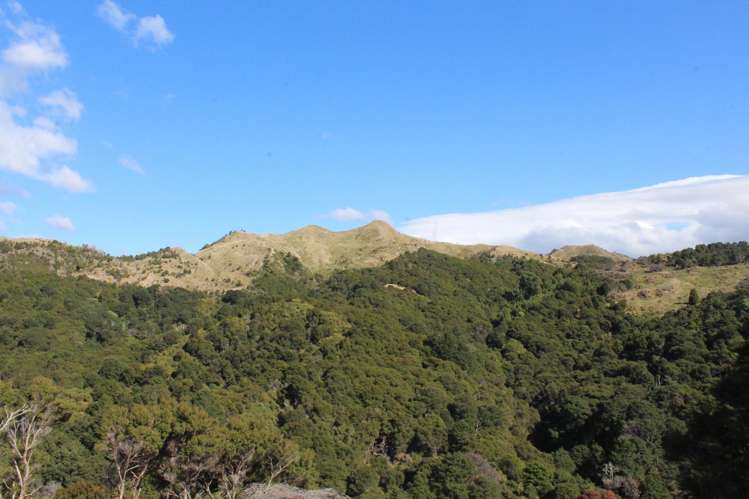 299 Branscombe Road Pongaroa_11