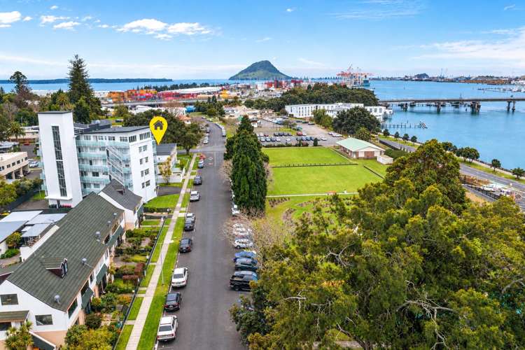 3/12 Brown Street Tauranga_16