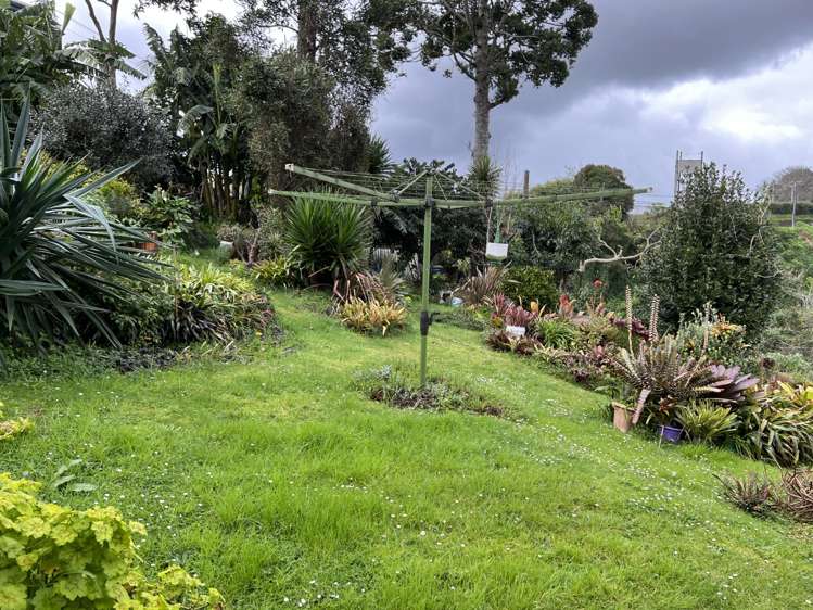 42 Manse Street Kensington_6