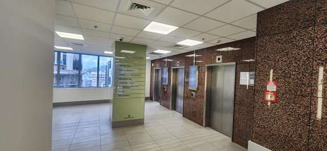 Level 2/139 The Terrace Wellington Central_1