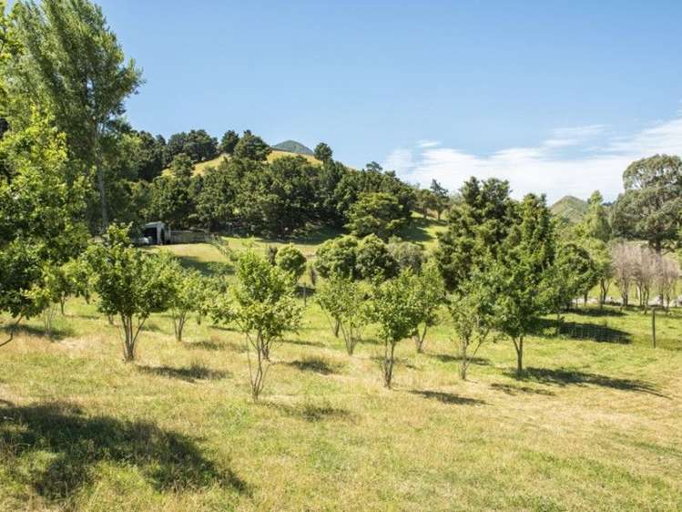 33 Lindens Road Anakiwa and Surrounds_17