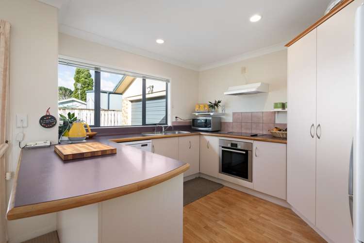 54e Park Road Katikati_1