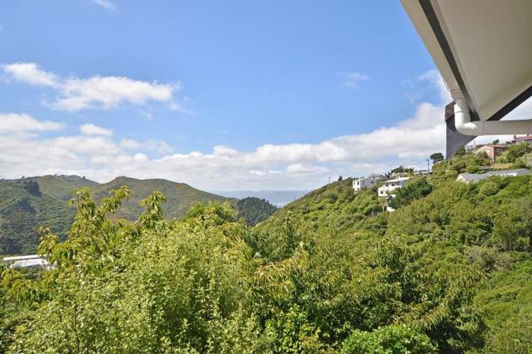 3/8 Narbada Crescent Khandallah_8