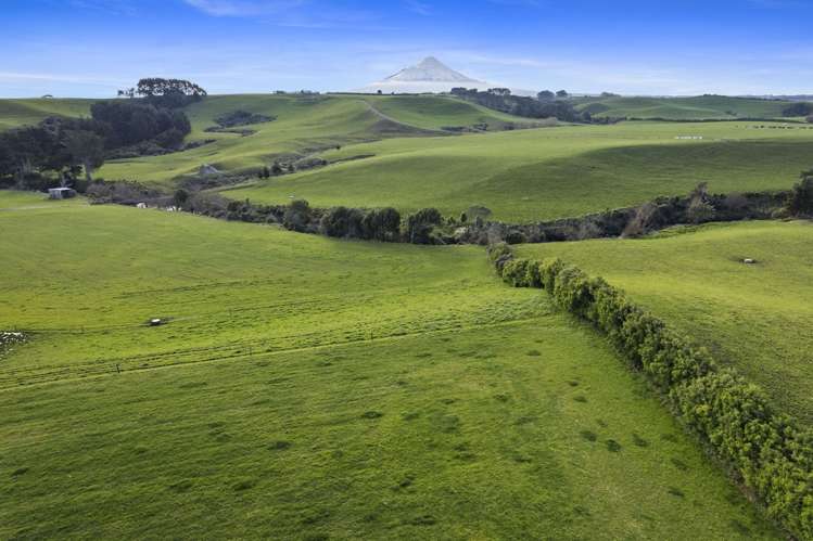 0n Skeet Road Te Roti_18