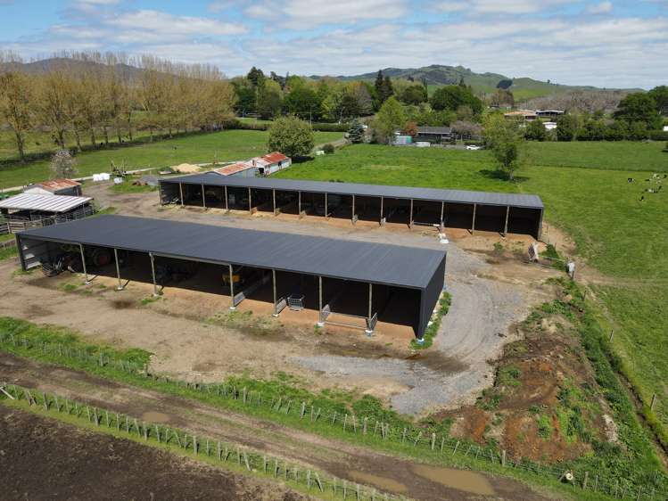 2/573 Tirau Road Cambridge_12