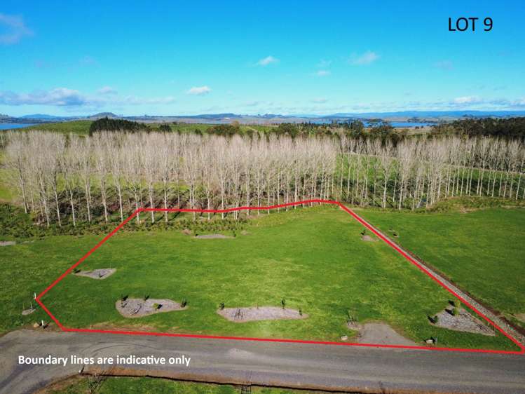 Toka Puia Waiare Road Okaihau_17