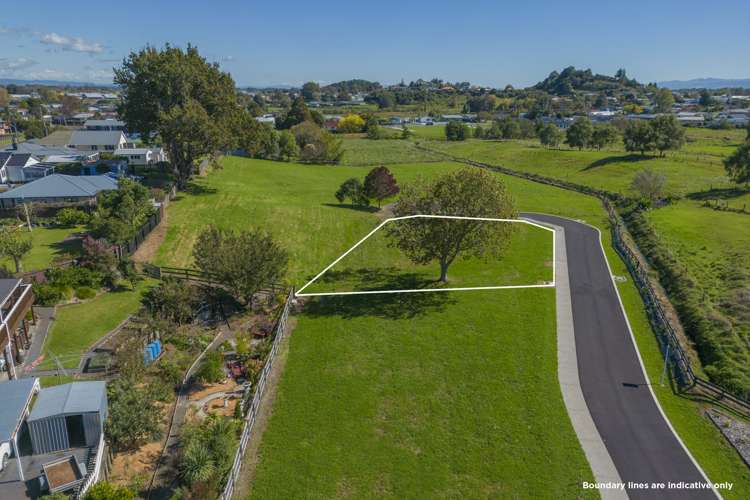 3 Double Oaks Drive Paeroa_10