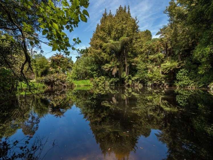 97 Turner Road Hamurana_19