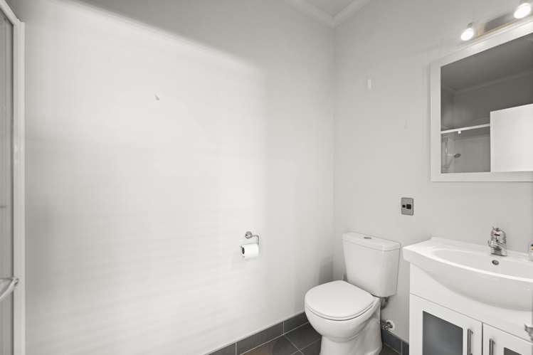 47B Albert Street Hamilton East_8
