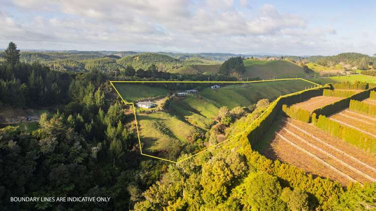 666 Maungarangi Road Paengaroa_24