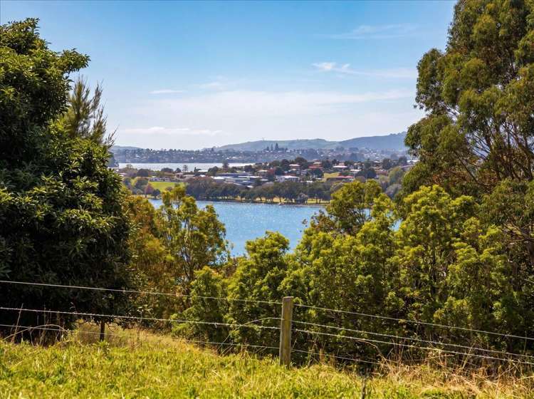 288a Pahoia Road Whakamarama_18