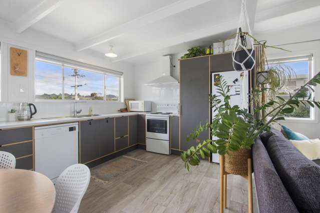 61 Seaforth Road Waihi Beach_2