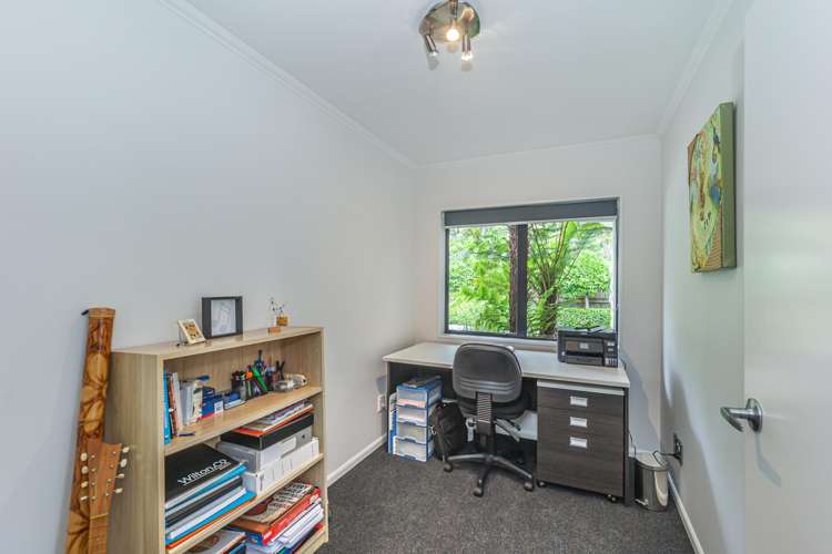 87 Macarthur Street Levin_14