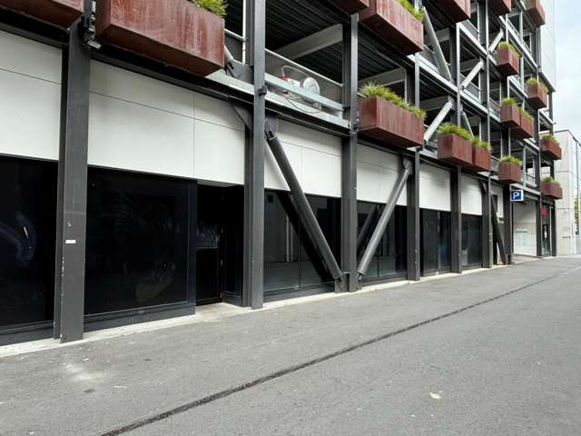 5 Nurseryman Lane Christchurch Central_2