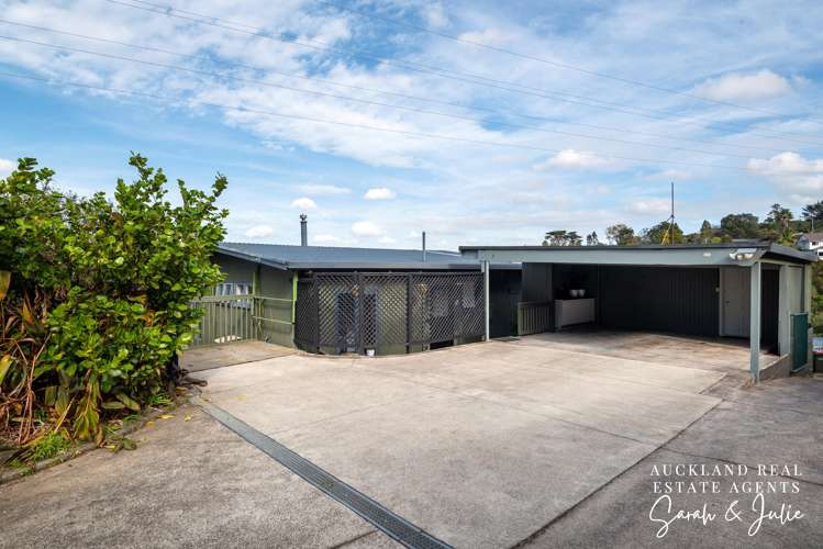 51 Belfast Street Hillsborough_37