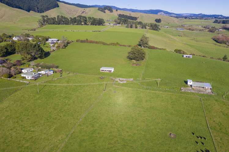 252 Wallace Road Koputaroa_20