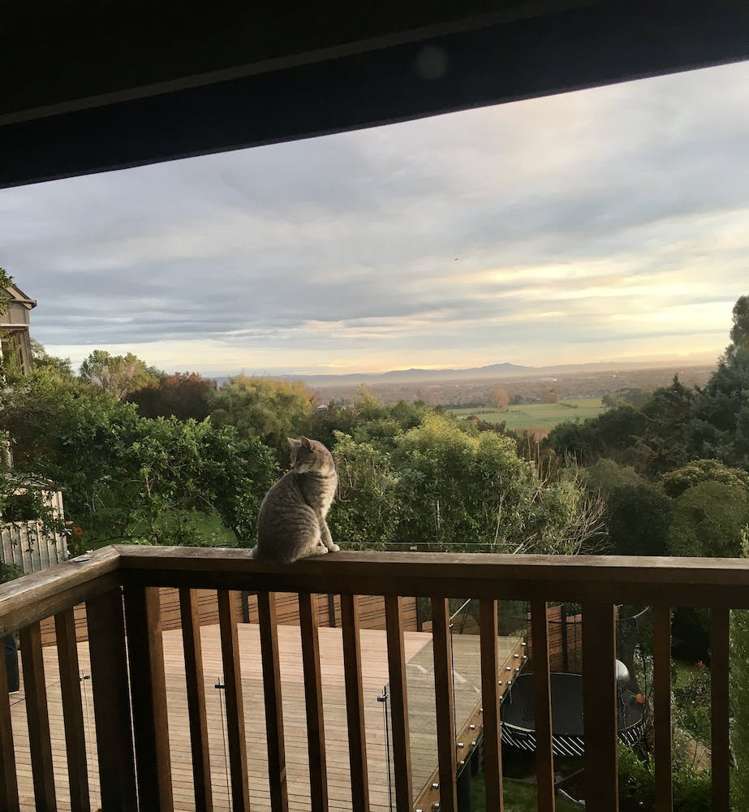 2/3 Studfold Row Westmorland_18