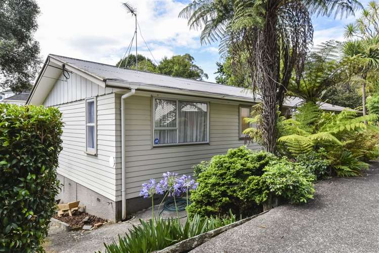 40 Selwyn Crescent Forrest Hill_26