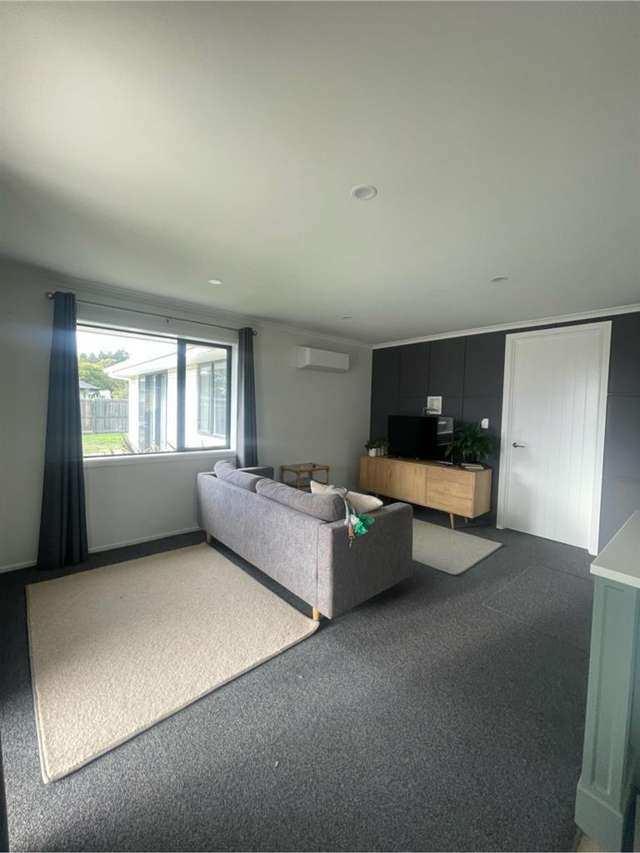 37 Turnbull Drive Witherlea_4