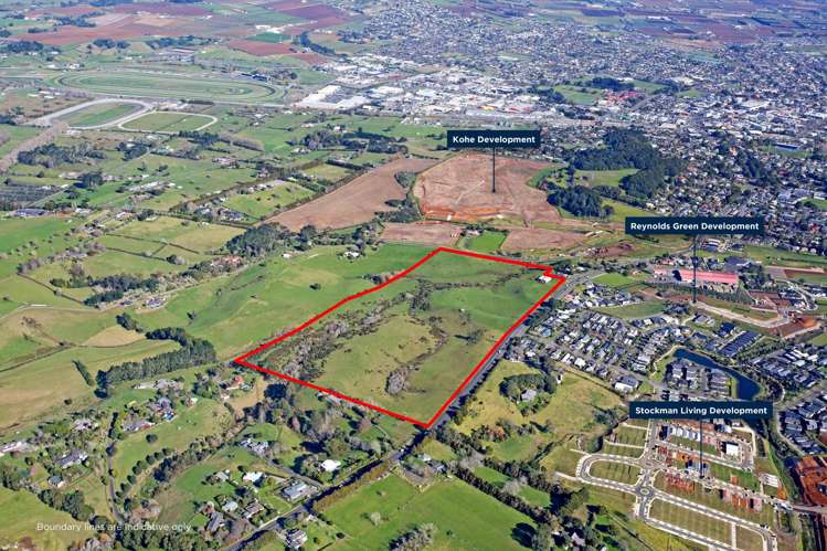 50 Pukekohe East Road Pukekohe_2