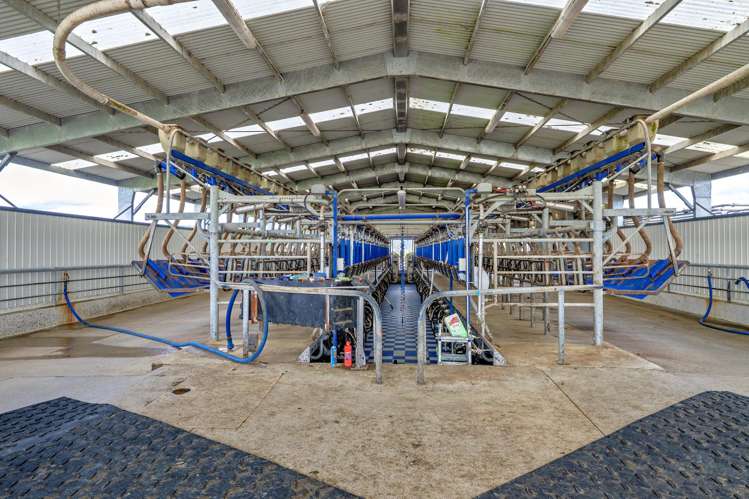 Queens Farm, 16 McGinley Road Opotiki_8