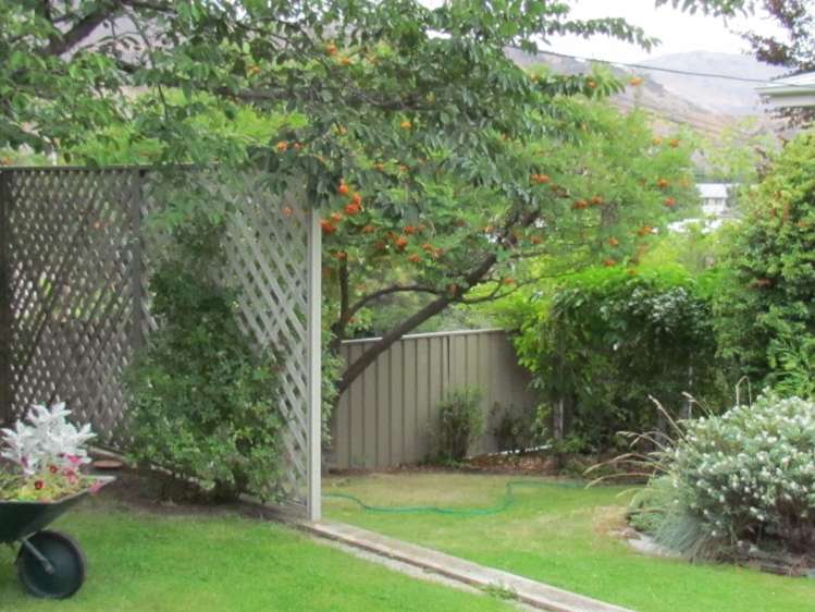 49 Horace Street Cromwell_11