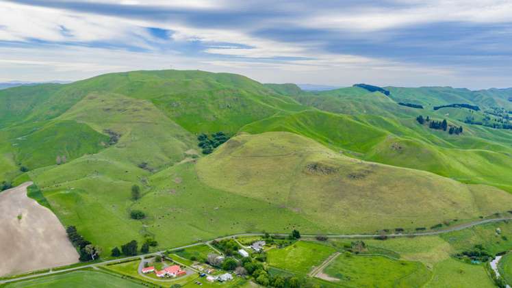Corner Te Aute Trust Road and Aupaki Road Poukawa_14