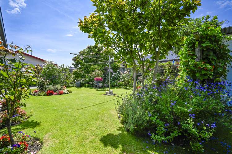 407a Grays Road Saint Leonards_12