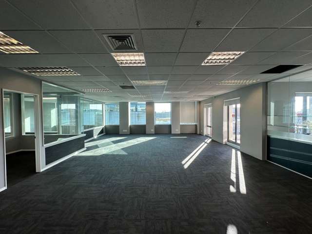 18 Normanby Road Mt Eden_2