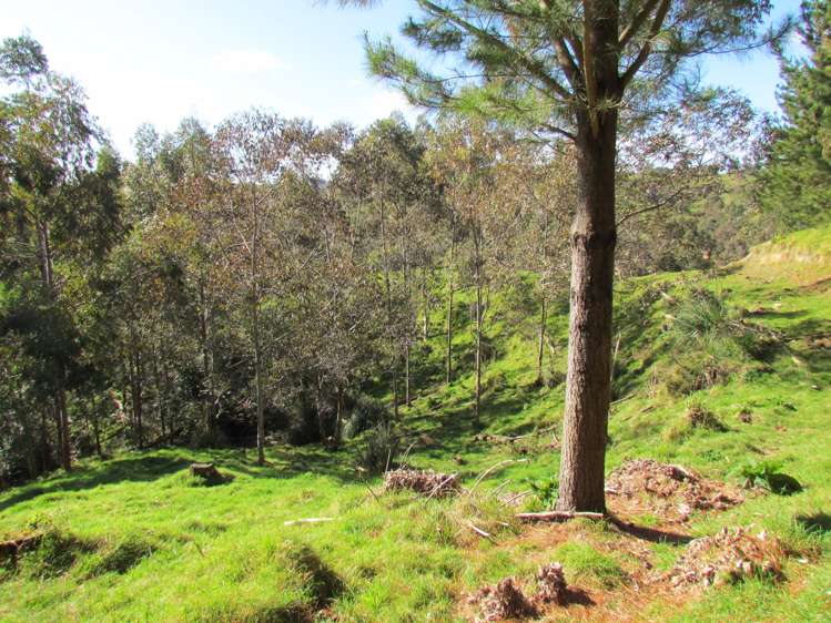 173 Luttrell Road Murupara Surrounds_7