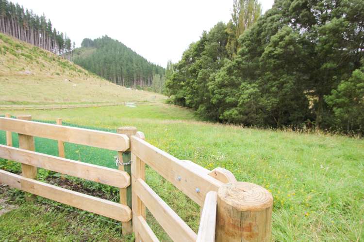 968 Kauarapaoa Road Brunswick_13