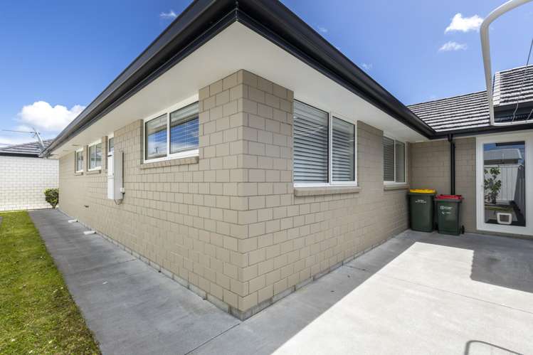 175A Carrington Street Lower Vogeltown_28