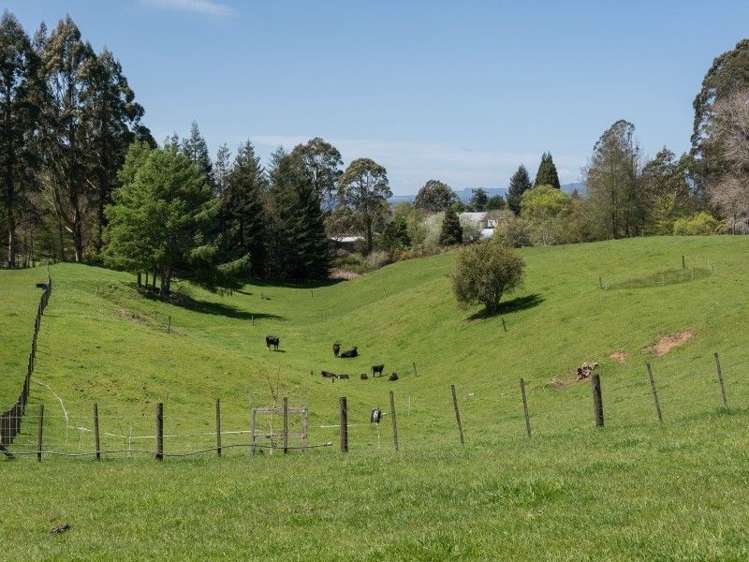 491 Hamurana Road Hamurana_14