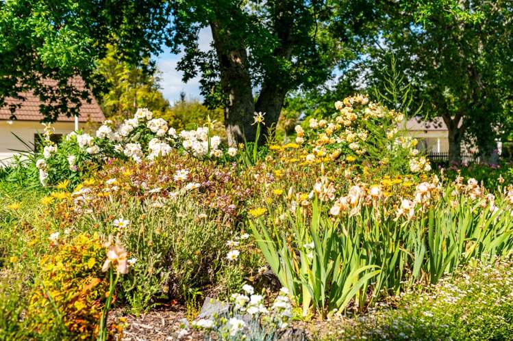 144 Loop Line Masterton_9